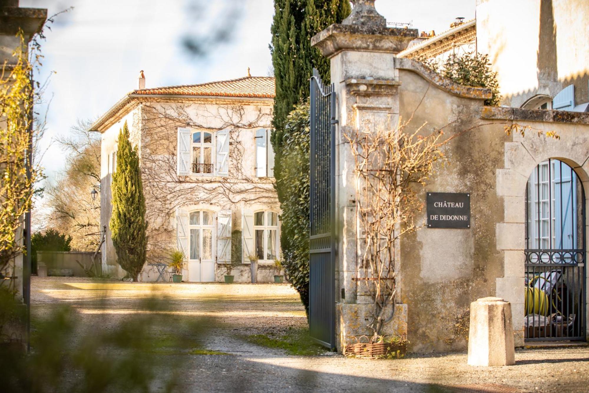 Hotel Chateau De Didonne Sémussac Zewnętrze zdjęcie