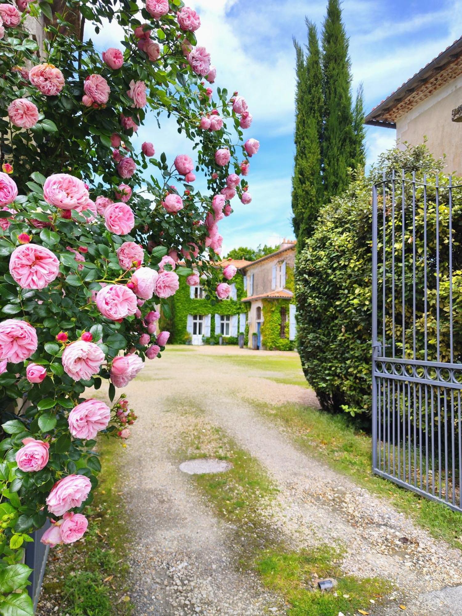 Hotel Chateau De Didonne Sémussac Zewnętrze zdjęcie